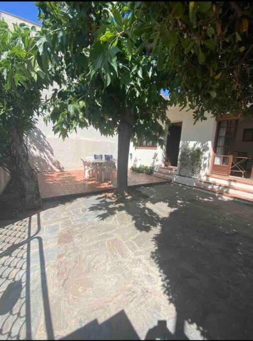 Maison Proche Plage カネ エクステリア 写真